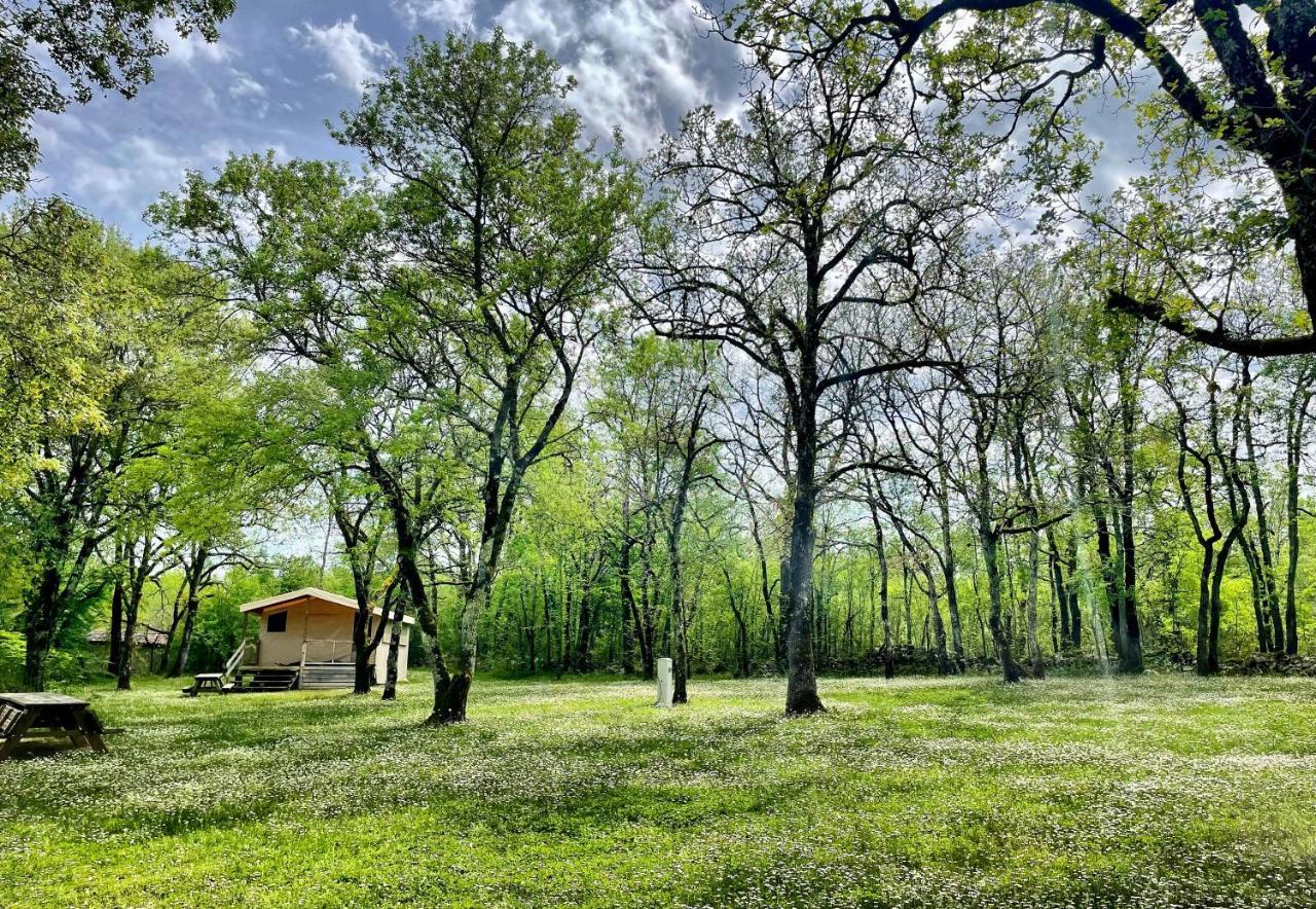 Lodges Du Bois Dodo - Ancien Camping De Bois Redon Septfonds Exterior photo